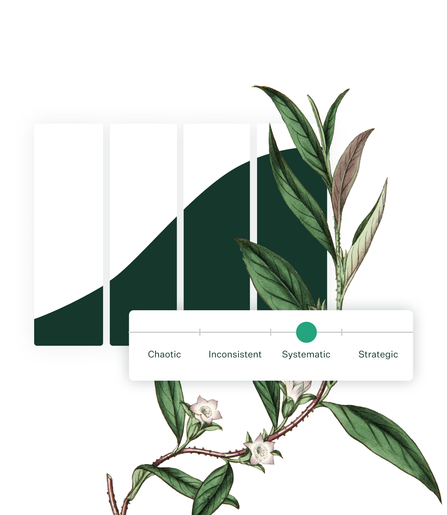 Image of the Greenhouse Hiring Maturity curve